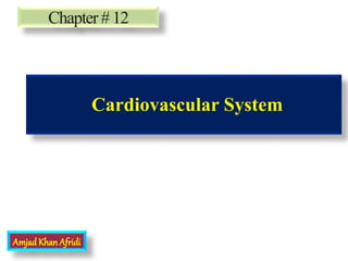 Cardiovascular System
Chapter# 12
Amjad Khan Afridi
 