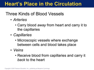 Heart’s Place in the Circulation
Three Kinds of Blood Vessels
• Arteries
• Carry blood away from heart and carry it to
the capillaries
• Capillaries
• Microscopic vessels where exchange
between cells and blood takes place
• Veins
• Receive blood from capillaries and carry it
back to the heart
Copyright © 2007 Pearson Education, Inc., publishing as Benjamin Cummings
 