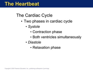 The Heartbeat
The Cardiac Cycle
• Two phases in cardiac cycle
• Systole
• Contraction phase
• Both ventricles simultaneously
• Diastole
• Relaxation phase
Copyright © 2007 Pearson Education, Inc., publishing as Benjamin Cummings
 