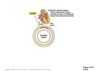 Figure 12-11
2 of 6
START
(a) Atriole systole begins:
Atrial contraction forces
a small amount of additional
blood into relaxed ventricles.
100
msec
0
msec
Cardiac
cycle
Copyright © 2007 Pearson Education, Inc., publishing as Benjamin Cummings
 