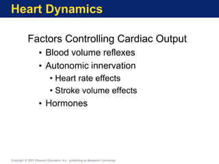 Heart Dynamics
Factors Controlling Cardiac Output
• Blood volume reflexes
• Autonomic innervation
• Heart rate effects
• Stroke volume effects
• Hormones
Copyright © 2007 Pearson Education, Inc., publishing as Benjamin Cummings
 