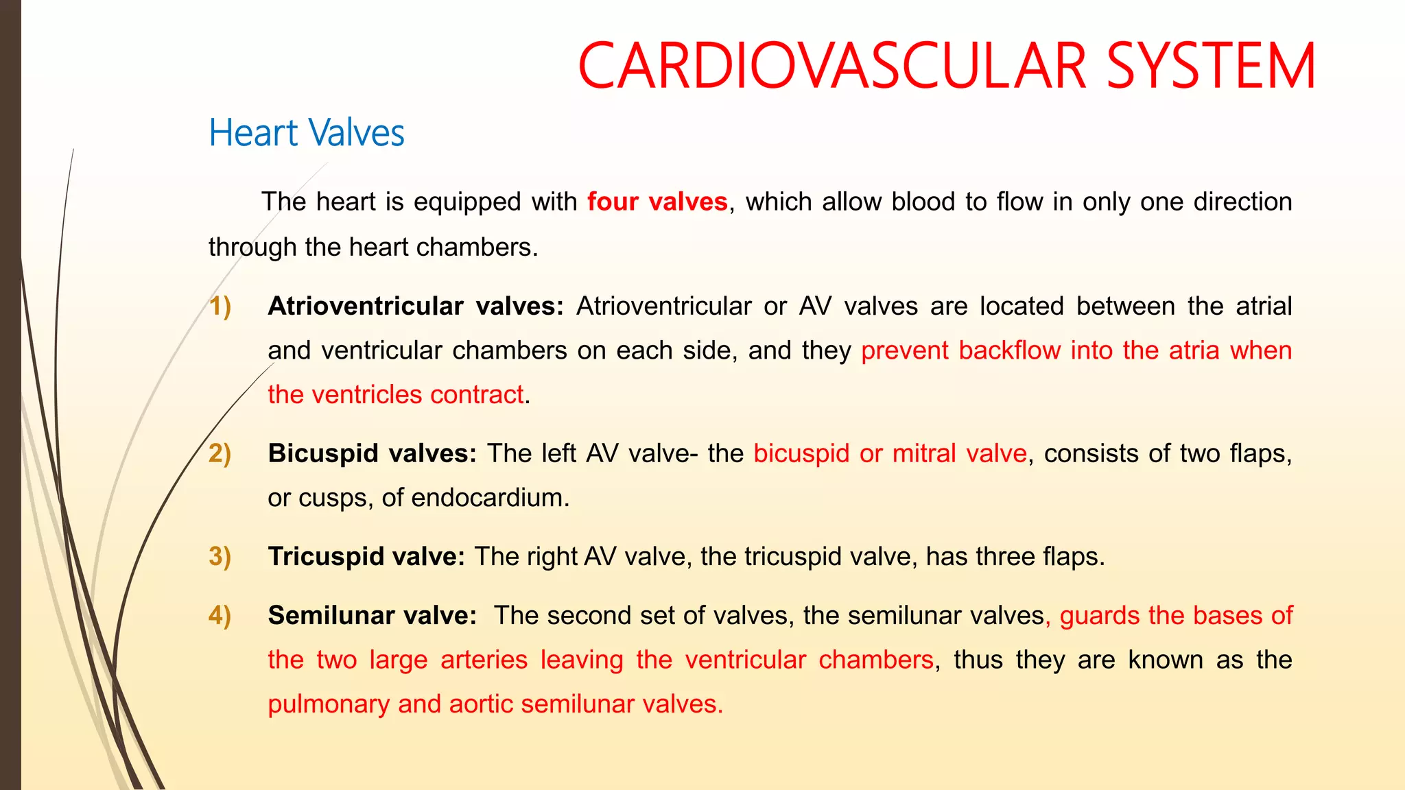 CARDIOVASCULAR SYSTEM
Heart Valves
The heart is equipped with four valves, which allow blood to flow in only one direction
through the heart chambers.
1) Atrioventricular valves: Atrioventricular or AV valves are located between the atrial
and ventricular chambers on each side, and they prevent backflow into the atria when
the ventricles contract.
2) Bicuspid valves: The left AV valve- the bicuspid or mitral valve, consists of two flaps,
or cusps, of endocardium.
3) Tricuspid valve: The right AV valve, the tricuspid valve, has three flaps.
4) Semilunar valve: The second set of valves, the semilunar valves, guards the bases of
the two large arteries leaving the ventricular chambers, thus they are known as the
pulmonary and aortic semilunar valves.
 