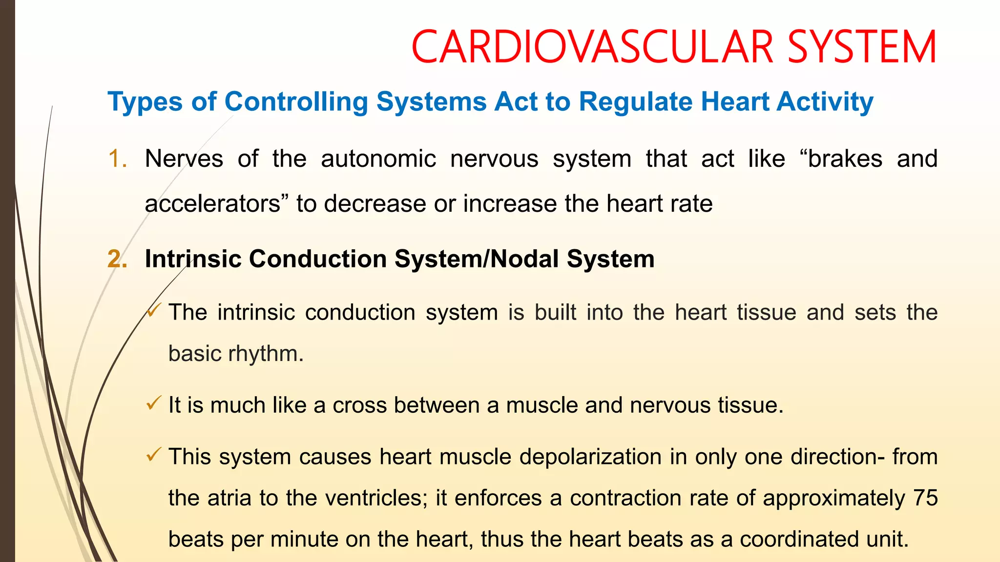 CARDIOVASCULAR SYSTEM
Types of Controlling Systems Act to Regulate Heart Activity
1. Nerves of the autonomic nervous system that act like “brakes and
accelerators” to decrease or increase the heart rate
2. Intrinsic Conduction System/Nodal System
 The intrinsic conduction system is built into the heart tissue and sets the
basic rhythm.
 It is much like a cross between a muscle and nervous tissue.
 This system causes heart muscle depolarization in only one direction- from
the atria to the ventricles; it enforces a contraction rate of approximately 75
beats per minute on the heart, thus the heart beats as a coordinated unit.
 