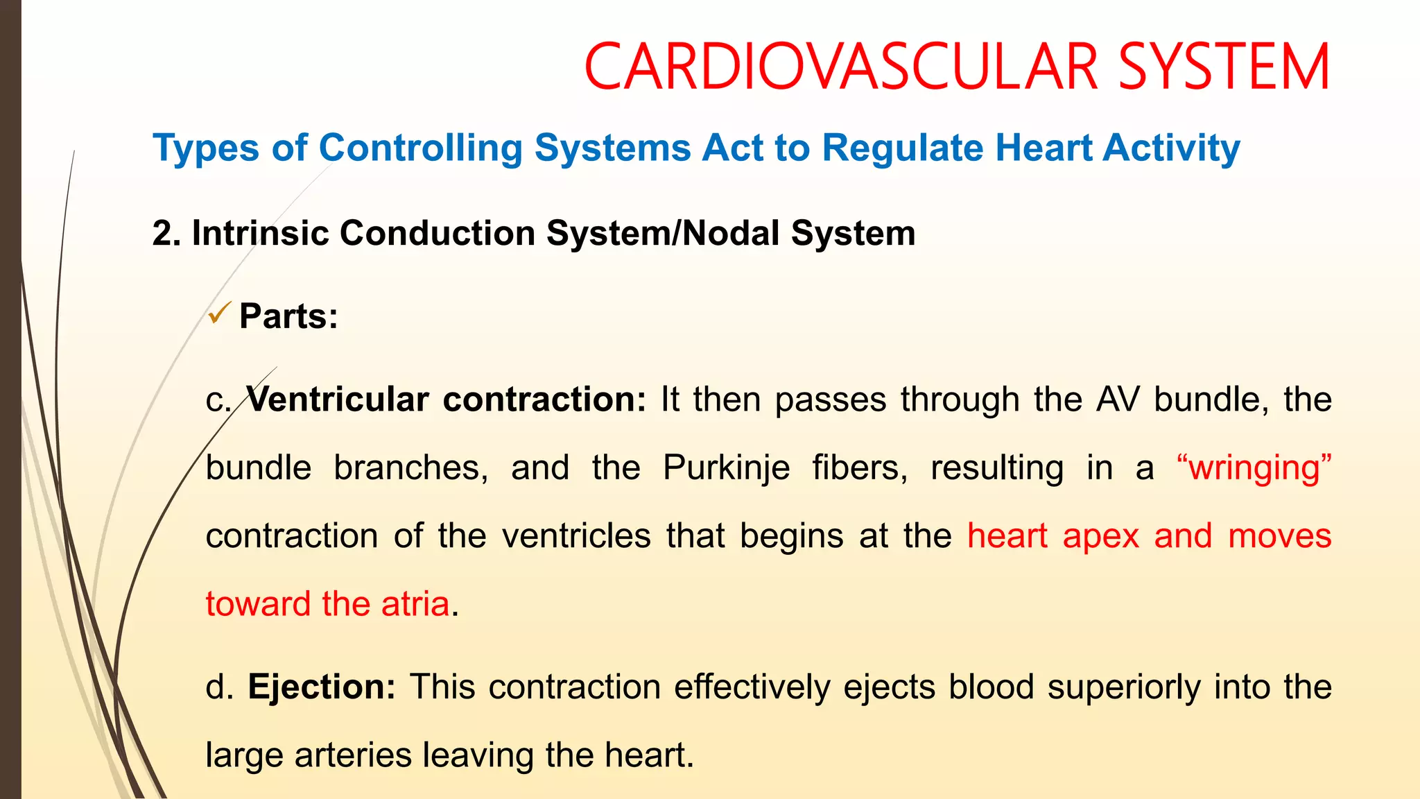 CARDIOVASCULAR SYSTEM
Types of Controlling Systems Act to Regulate Heart Activity
2. Intrinsic Conduction System/Nodal System
 Parts:
c. Ventricular contraction: It then passes through the AV bundle, the
bundle branches, and the Purkinje fibers, resulting in a “wringing”
contraction of the ventricles that begins at the heart apex and moves
toward the atria.
d. Ejection: This contraction effectively ejects blood superiorly into the
large arteries leaving the heart.
 