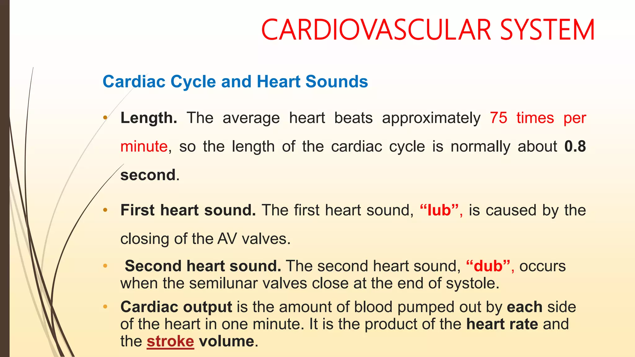 CARDIOVASCULAR SYSTEM
Cardiac Cycle and Heart Sounds
• Length. The average heart beats approximately 75 times per
minute, so the length of the cardiac cycle is normally about 0.8
second.
• First heart sound. The first heart sound, “lub”, is caused by the
closing of the AV valves.
• Second heart sound. The second heart sound, “dub”, occurs
when the semilunar valves close at the end of systole.
• Cardiac output is the amount of blood pumped out by each side
of the heart in one minute. It is the product of the heart rate and
the stroke volume.
 