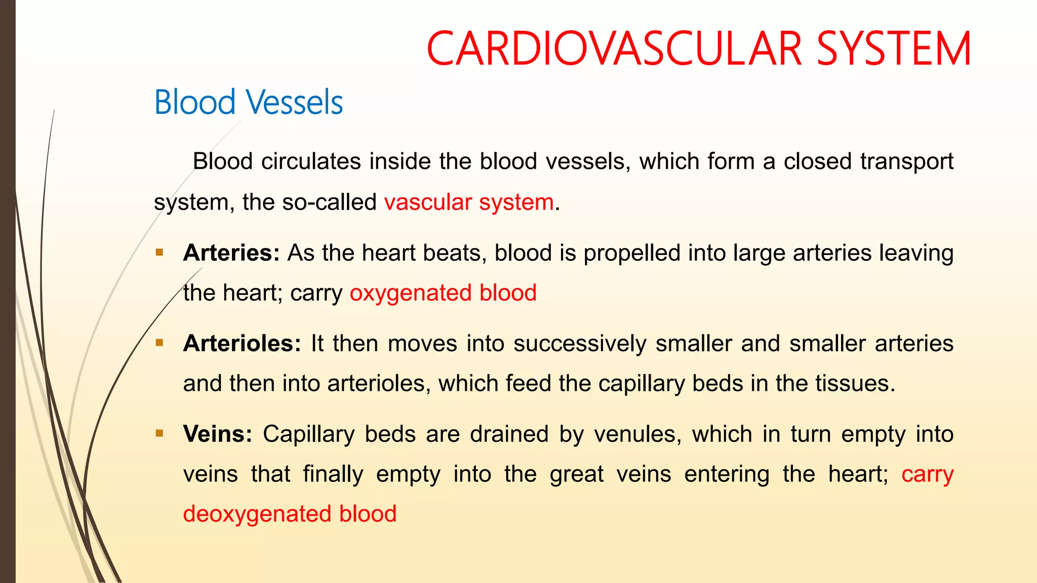 CARDIOVASCULAR SYSTEM
Blood Vessels
Blood circulates inside the blood vessels, which form a closed transport
system, the so-called vascular system.
 Arteries: As the heart beats, blood is propelled into large arteries leaving
the heart; carry oxygenated blood
 Arterioles: It then moves into successively smaller and smaller arteries
and then into arterioles, which feed the capillary beds in the tissues.
 Veins: Capillary beds are drained by venules, which in turn empty into
veins that finally empty into the great veins entering the heart; carry
deoxygenated blood
 