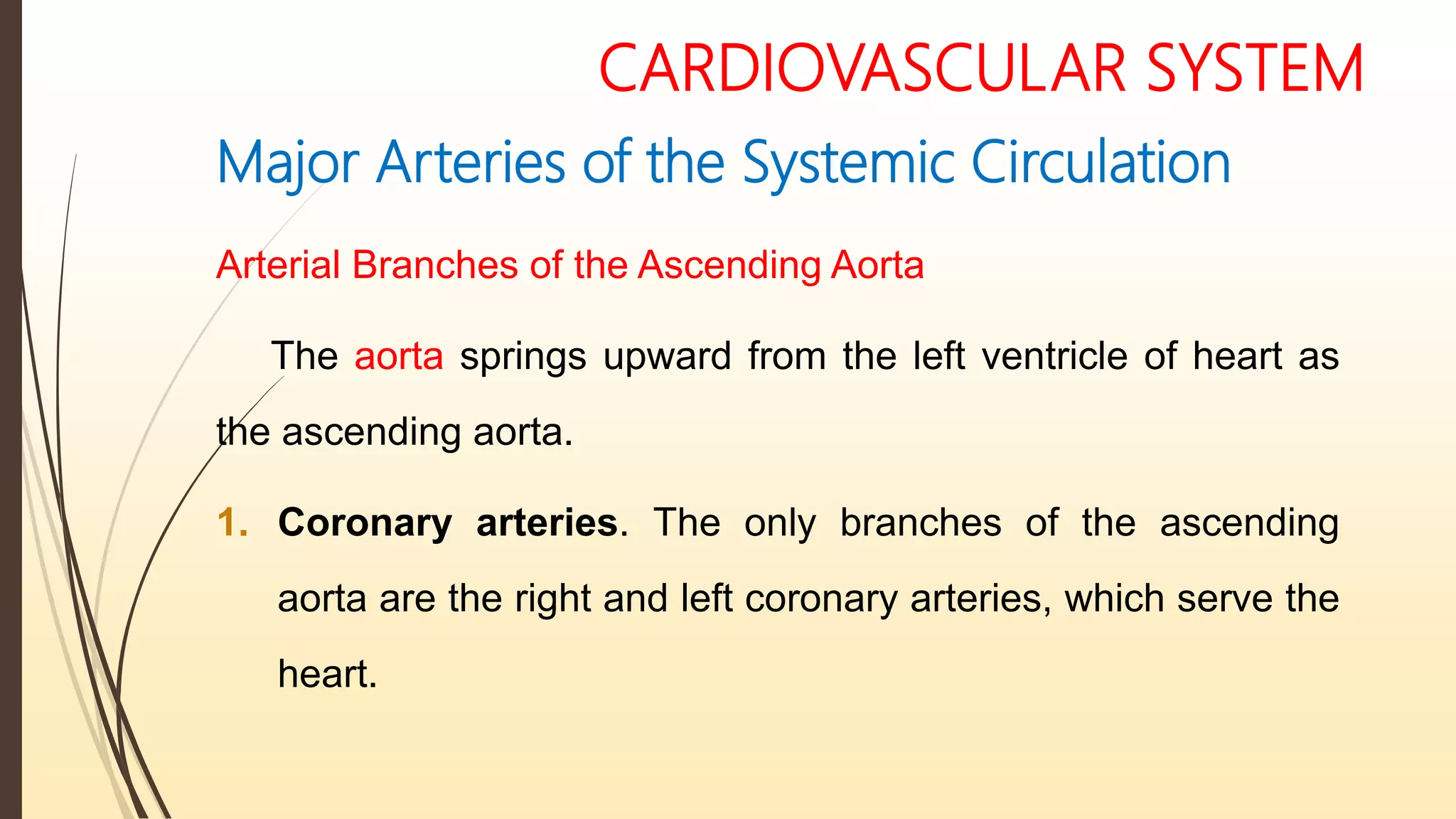 CARDIOVASCULAR SYSTEM
Major Arteries of the Systemic Circulation
Arterial Branches of the Ascending Aorta
The aorta springs upward from the left ventricle of heart as
the ascending aorta.
1. Coronary arteries. The only branches of the ascending
aorta are the right and left coronary arteries, which serve the
heart.
 