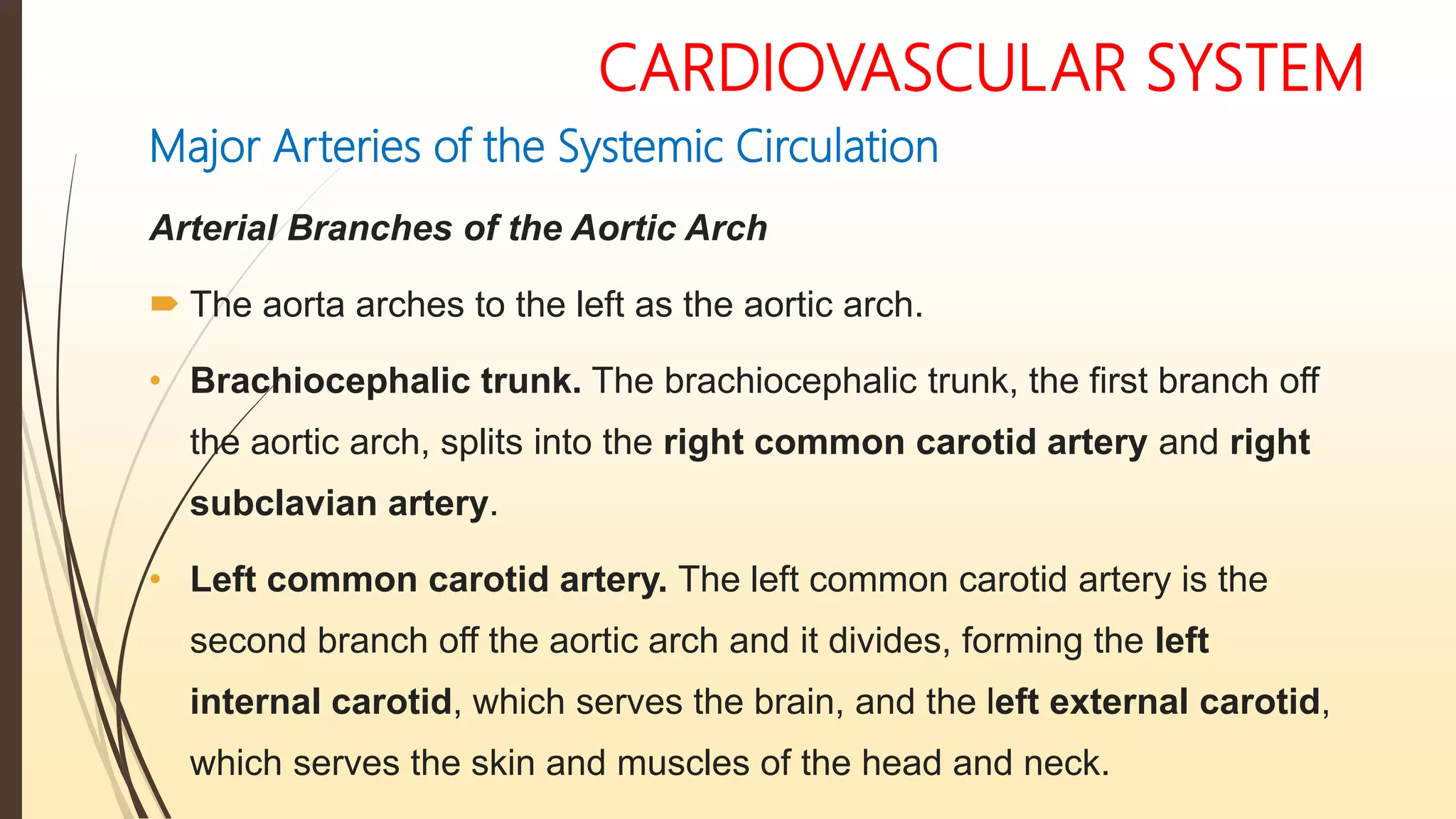 CARDIOVASCULAR SYSTEM
Major Arteries of the Systemic Circulation
Arterial Branches of the Aortic Arch
 The aorta arches to the left as the aortic arch.
• Brachiocephalic trunk. The brachiocephalic trunk, the first branch off
the aortic arch, splits into the right common carotid artery and right
subclavian artery.
• Left common carotid artery. The left common carotid artery is the
second branch off the aortic arch and it divides, forming the left
internal carotid, which serves the brain, and the left external carotid,
which serves the skin and muscles of the head and neck.
 