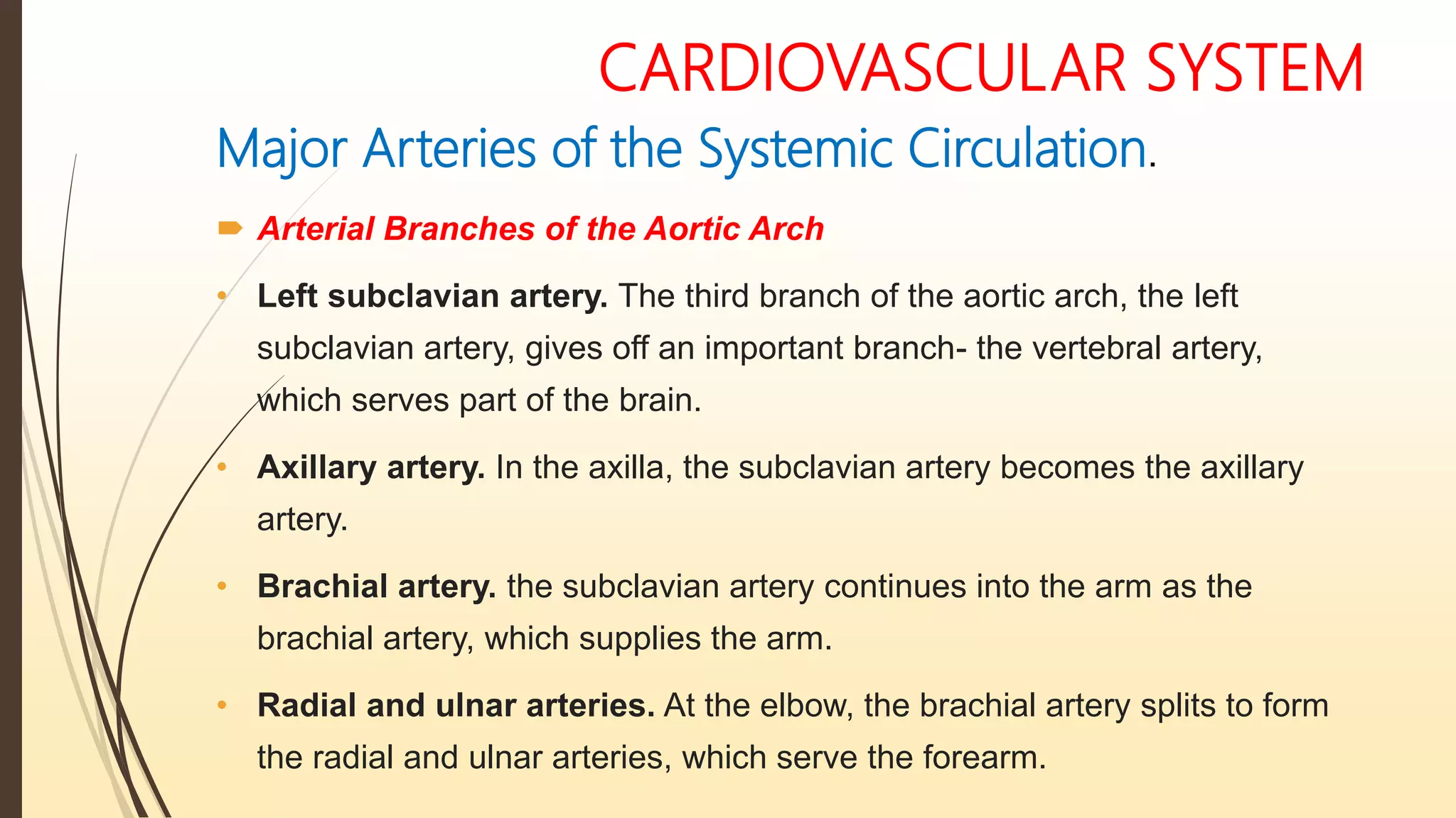CARDIOVASCULAR SYSTEM
Major Arteries of the Systemic Circulation.
 Arterial Branches of the Aortic Arch
• Left subclavian artery. The third branch of the aortic arch, the left
subclavian artery, gives off an important branch- the vertebral artery,
which serves part of the brain.
• Axillary artery. In the axilla, the subclavian artery becomes the axillary
artery.
• Brachial artery. the subclavian artery continues into the arm as the
brachial artery, which supplies the arm.
• Radial and ulnar arteries. At the elbow, the brachial artery splits to form
the radial and ulnar arteries, which serve the forearm.
 