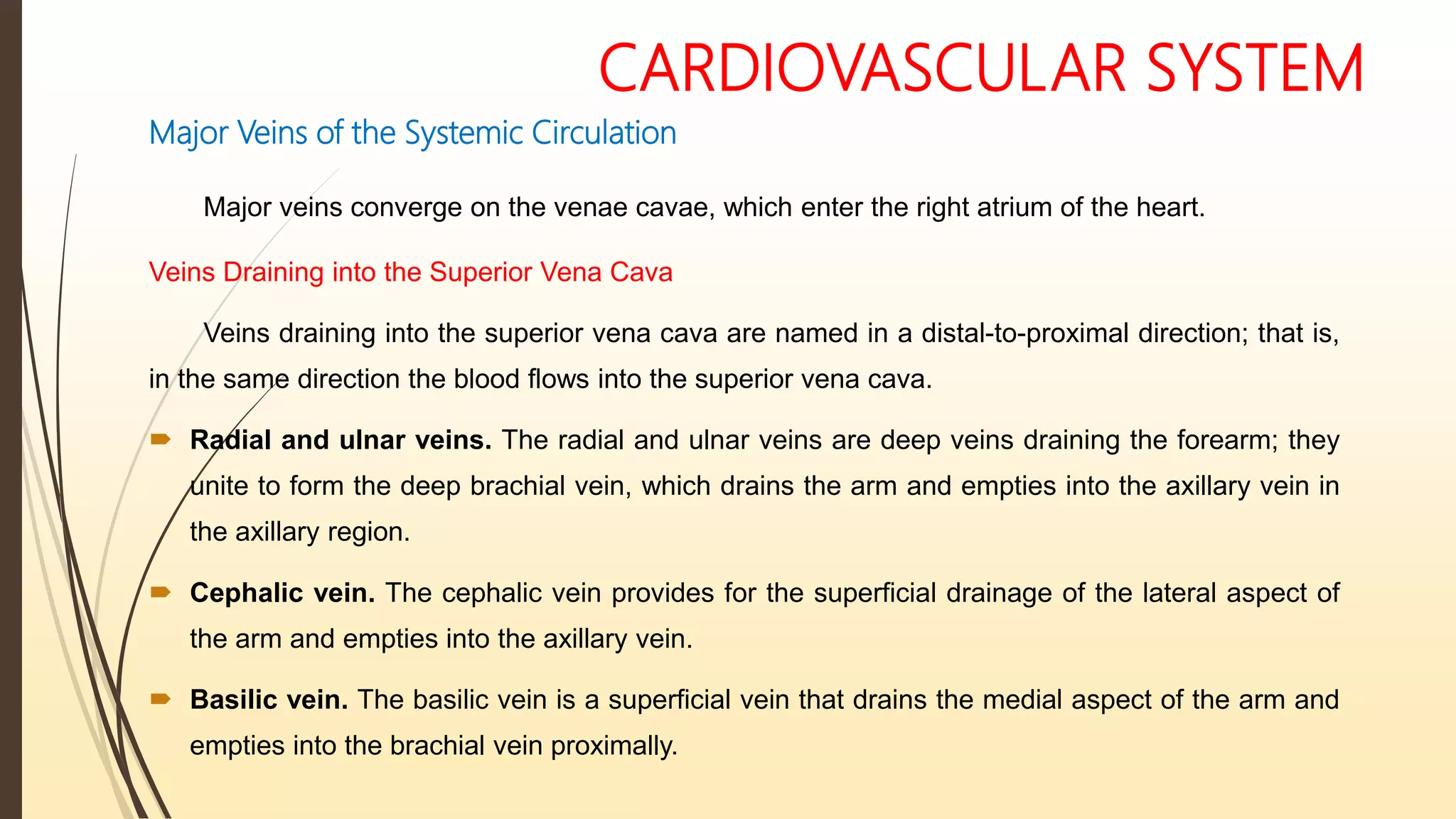 CARDIOVASCULAR SYSTEM
Major Veins of the Systemic Circulation
Major veins converge on the venae cavae, which enter the right atrium of the heart.
Veins Draining into the Superior Vena Cava
Veins draining into the superior vena cava are named in a distal-to-proximal direction; that is,
in the same direction the blood flows into the superior vena cava.
 Radial and ulnar veins. The radial and ulnar veins are deep veins draining the forearm; they
unite to form the deep brachial vein, which drains the arm and empties into the axillary vein in
the axillary region.
 Cephalic vein. The cephalic vein provides for the superficial drainage of the lateral aspect of
the arm and empties into the axillary vein.
 Basilic vein. The basilic vein is a superficial vein that drains the medial aspect of the arm and
empties into the brachial vein proximally.
 