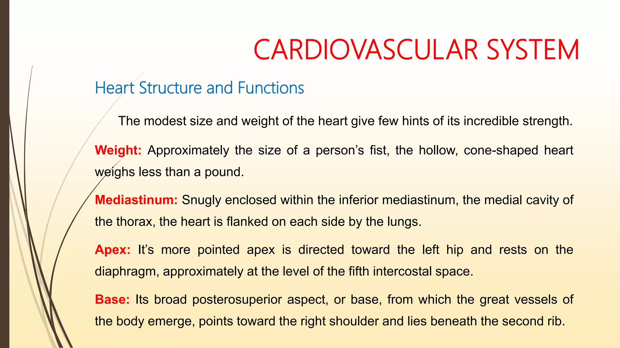 CARDIOVASCULAR SYSTEM
Heart Structure and Functions
The modest size and weight of the heart give few hints of its incredible strength.
Weight: Approximately the size of a person’s fist, the hollow, cone-shaped heart
weighs less than a pound.
Mediastinum: Snugly enclosed within the inferior mediastinum, the medial cavity of
the thorax, the heart is flanked on each side by the lungs.
Apex: It’s more pointed apex is directed toward the left hip and rests on the
diaphragm, approximately at the level of the fifth intercostal space.
Base: Its broad posterosuperior aspect, or base, from which the great vessels of
the body emerge, points toward the right shoulder and lies beneath the second rib.
 