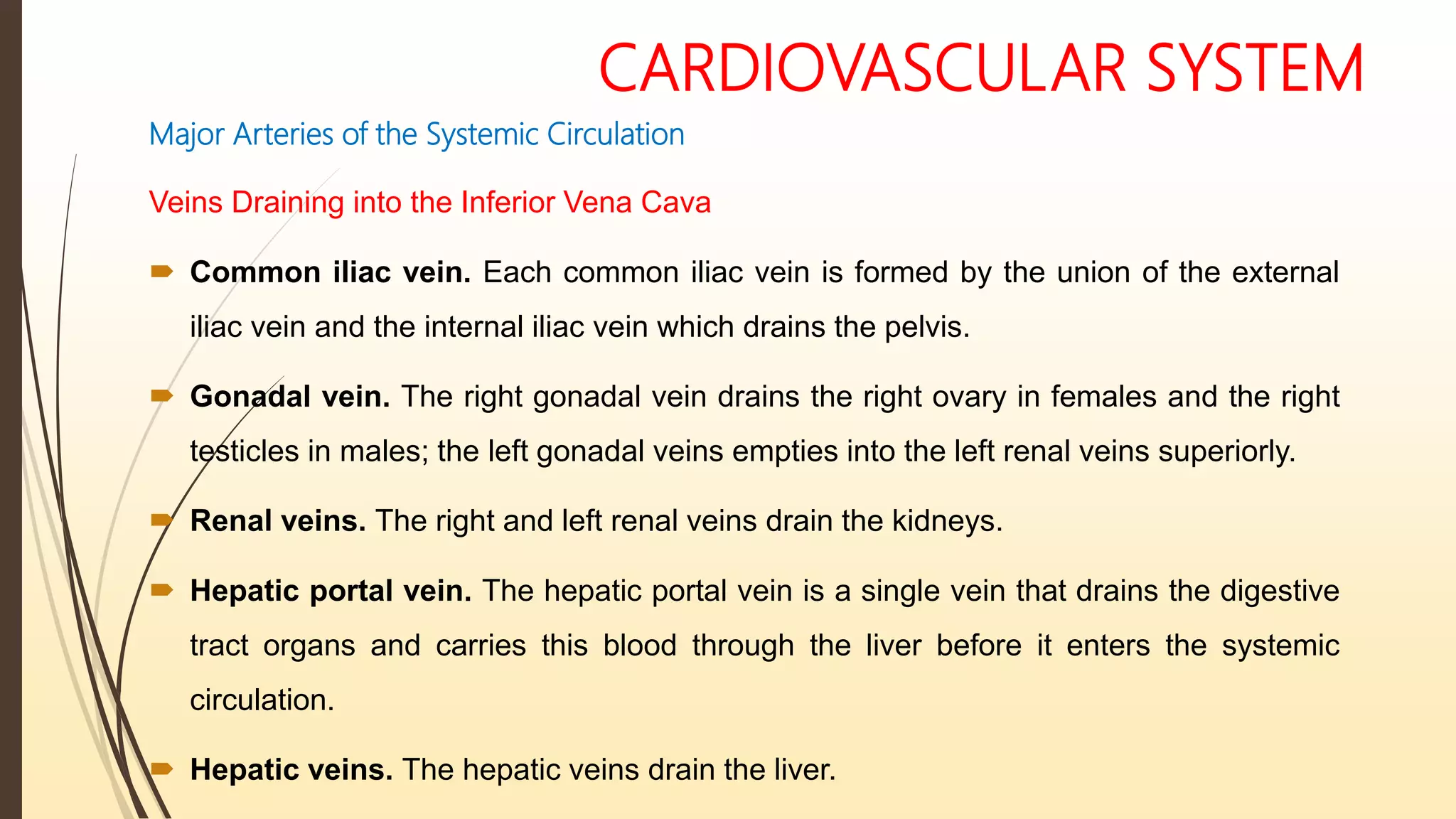 CARDIOVASCULAR SYSTEM
Major Arteries of the Systemic Circulation
Veins Draining into the Inferior Vena Cava
 Common iliac vein. Each common iliac vein is formed by the union of the external
iliac vein and the internal iliac vein which drains the pelvis.
 Gonadal vein. The right gonadal vein drains the right ovary in females and the right
testicles in males; the left gonadal veins empties into the left renal veins superiorly.
 Renal veins. The right and left renal veins drain the kidneys.
 Hepatic portal vein. The hepatic portal vein is a single vein that drains the digestive
tract organs and carries this blood through the liver before it enters the systemic
circulation.
 Hepatic veins. The hepatic veins drain the liver.
 