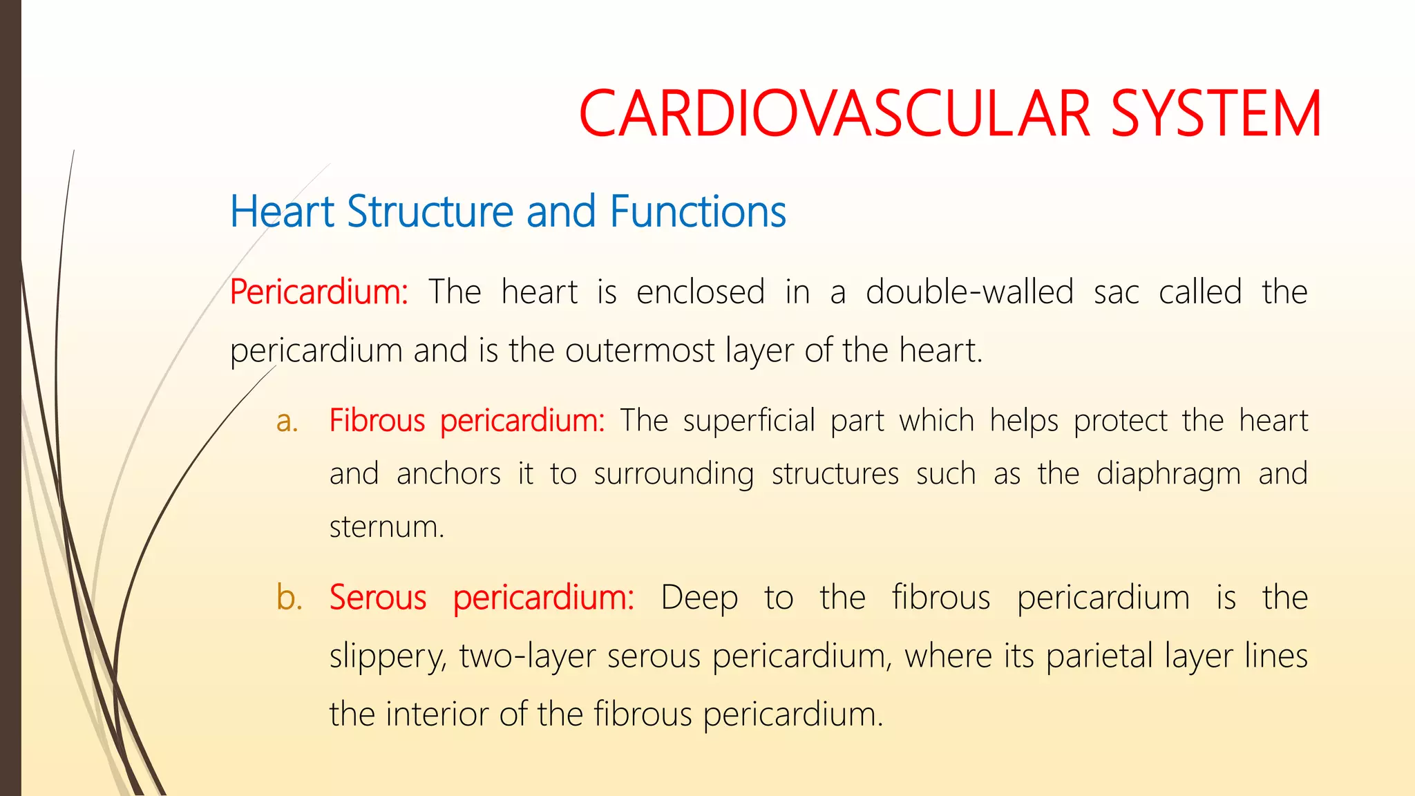CARDIOVASCULAR SYSTEM
Heart Structure and Functions
Pericardium: The heart is enclosed in a double-walled sac called the
pericardium and is the outermost layer of the heart.
a. Fibrous pericardium: The superficial part which helps protect the heart
and anchors it to surrounding structures such as the diaphragm and
sternum.
b. Serous pericardium: Deep to the fibrous pericardium is the
slippery, two-layer serous pericardium, where its parietal layer lines
the interior of the fibrous pericardium.
 