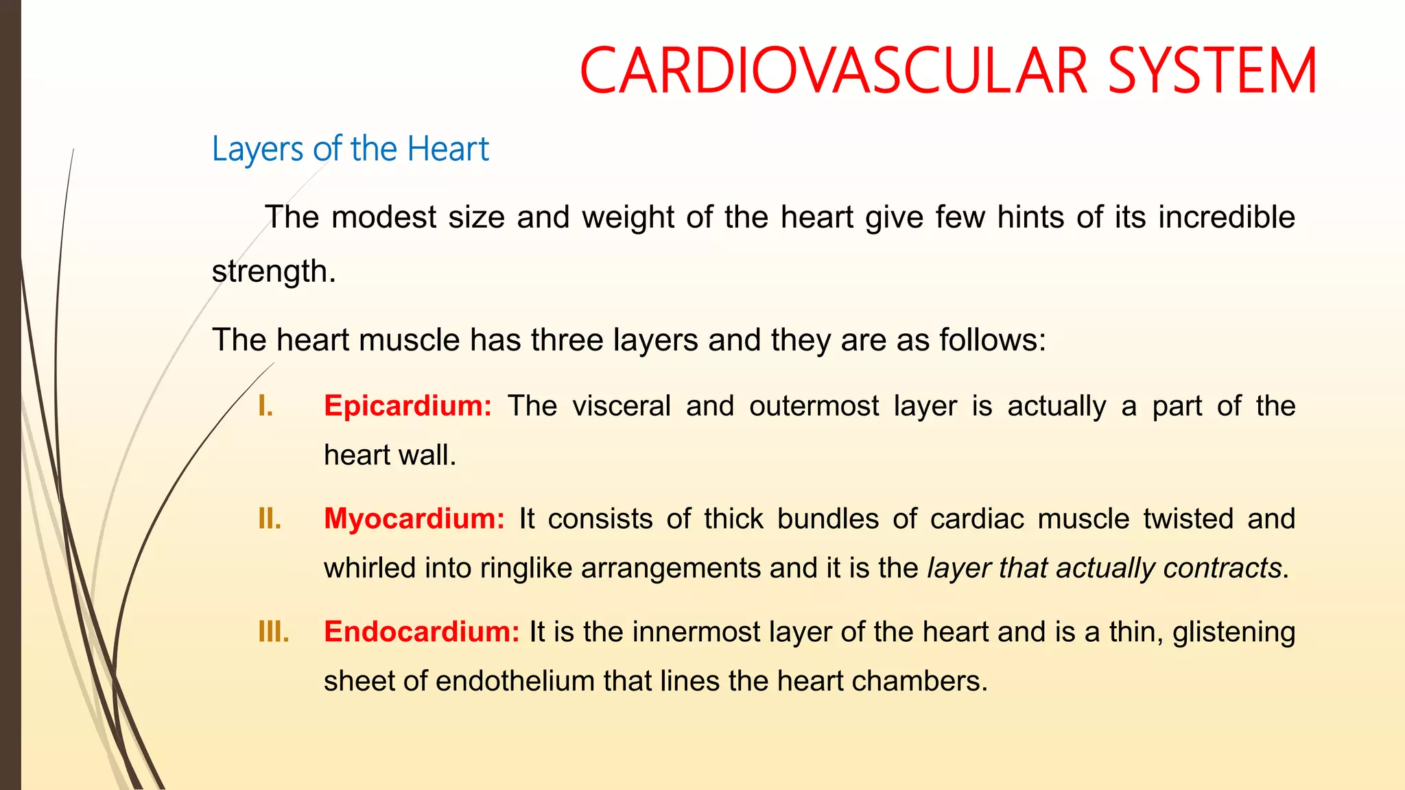 CARDIOVASCULAR SYSTEM
Layers of the Heart
The modest size and weight of the heart give few hints of its incredible
strength.
The heart muscle has three layers and they are as follows:
I. Epicardium: The visceral and outermost layer is actually a part of the
heart wall.
II. Myocardium: It consists of thick bundles of cardiac muscle twisted and
whirled into ringlike arrangements and it is the layer that actually contracts.
III. Endocardium: It is the innermost layer of the heart and is a thin, glistening
sheet of endothelium that lines the heart chambers.
 