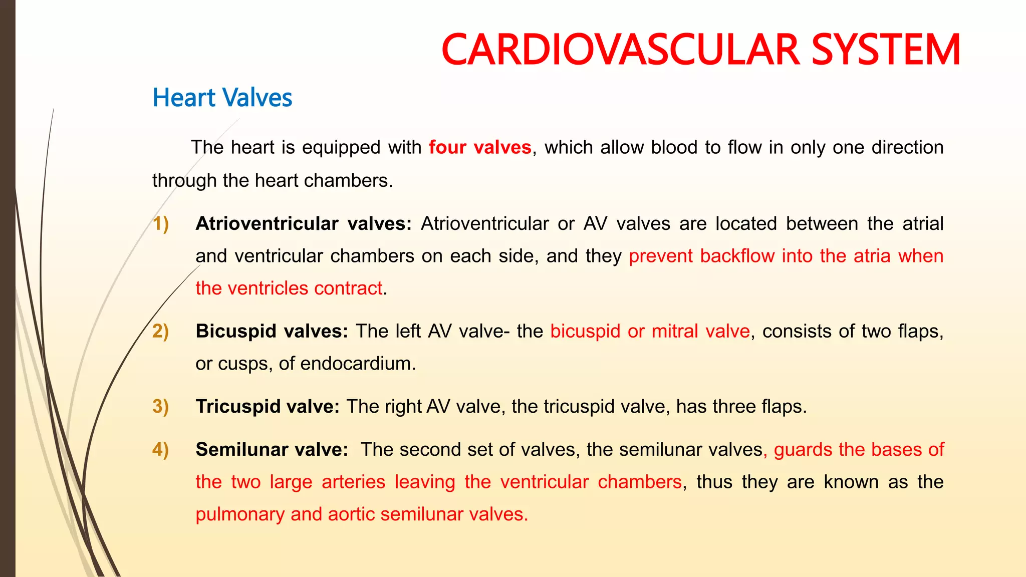 CARDIOVASCULAR SYSTEM
Heart Valves
The heart is equipped with four valves, which allow blood to flow in only one direction
through the heart chambers.
1) Atrioventricular valves: Atrioventricular or AV valves are located between the atrial
and ventricular chambers on each side, and they prevent backflow into the atria when
the ventricles contract.
2) Bicuspid valves: The left AV valve- the bicuspid or mitral valve, consists of two flaps,
or cusps, of endocardium.
3) Tricuspid valve: The right AV valve, the tricuspid valve, has three flaps.
4) Semilunar valve: The second set of valves, the semilunar valves, guards the bases of
the two large arteries leaving the ventricular chambers, thus they are known as the
pulmonary and aortic semilunar valves.
 