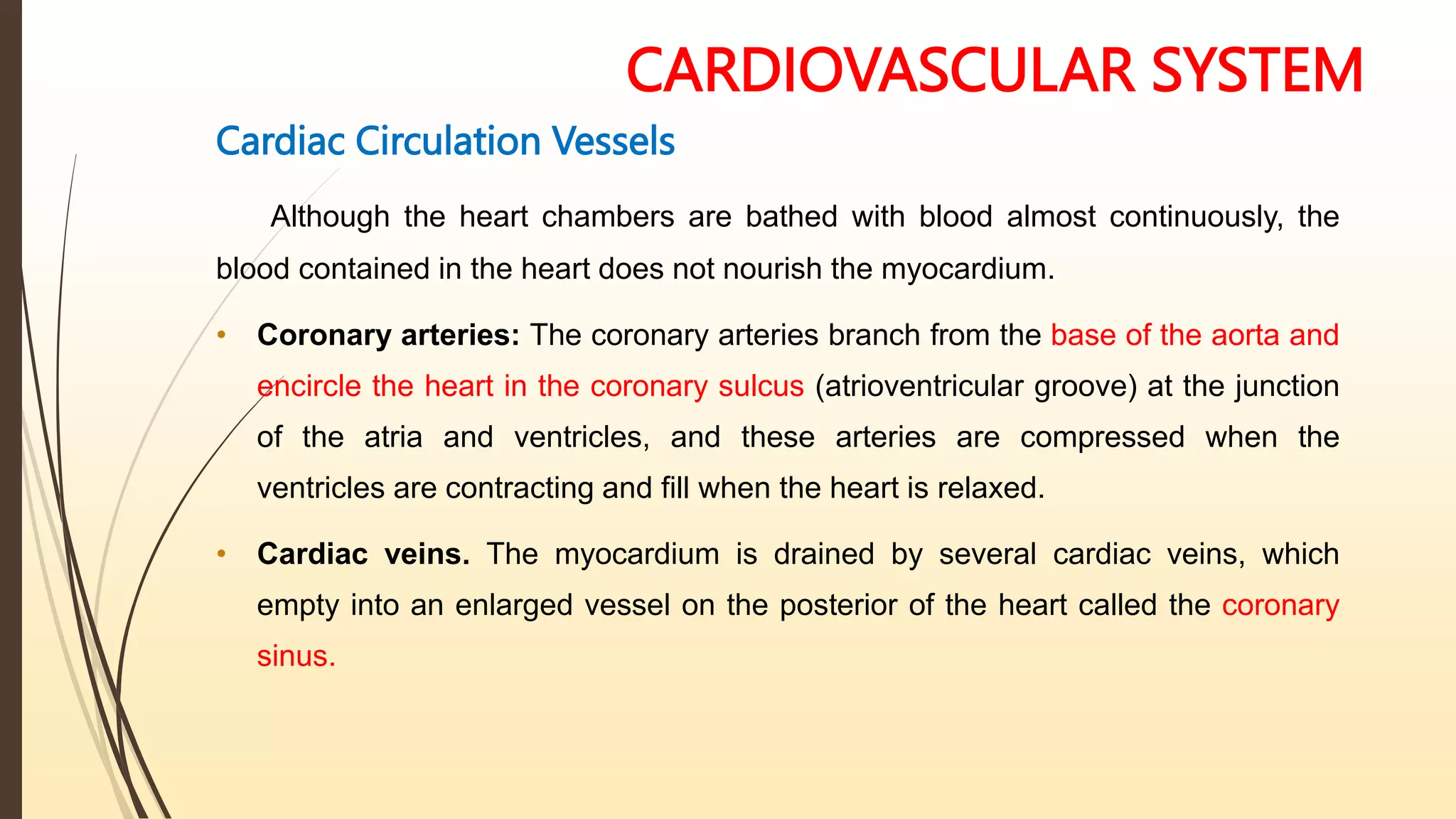 CARDIOVASCULAR SYSTEM
Cardiac Circulation Vessels
Although the heart chambers are bathed with blood almost continuously, the
blood contained in the heart does not nourish the myocardium.
• Coronary arteries: The coronary arteries branch from the base of the aorta and
encircle the heart in the coronary sulcus (atrioventricular groove) at the junction
of the atria and ventricles, and these arteries are compressed when the
ventricles are contracting and fill when the heart is relaxed.
• Cardiac veins. The myocardium is drained by several cardiac veins, which
empty into an enlarged vessel on the posterior of the heart called the coronary
sinus.
 