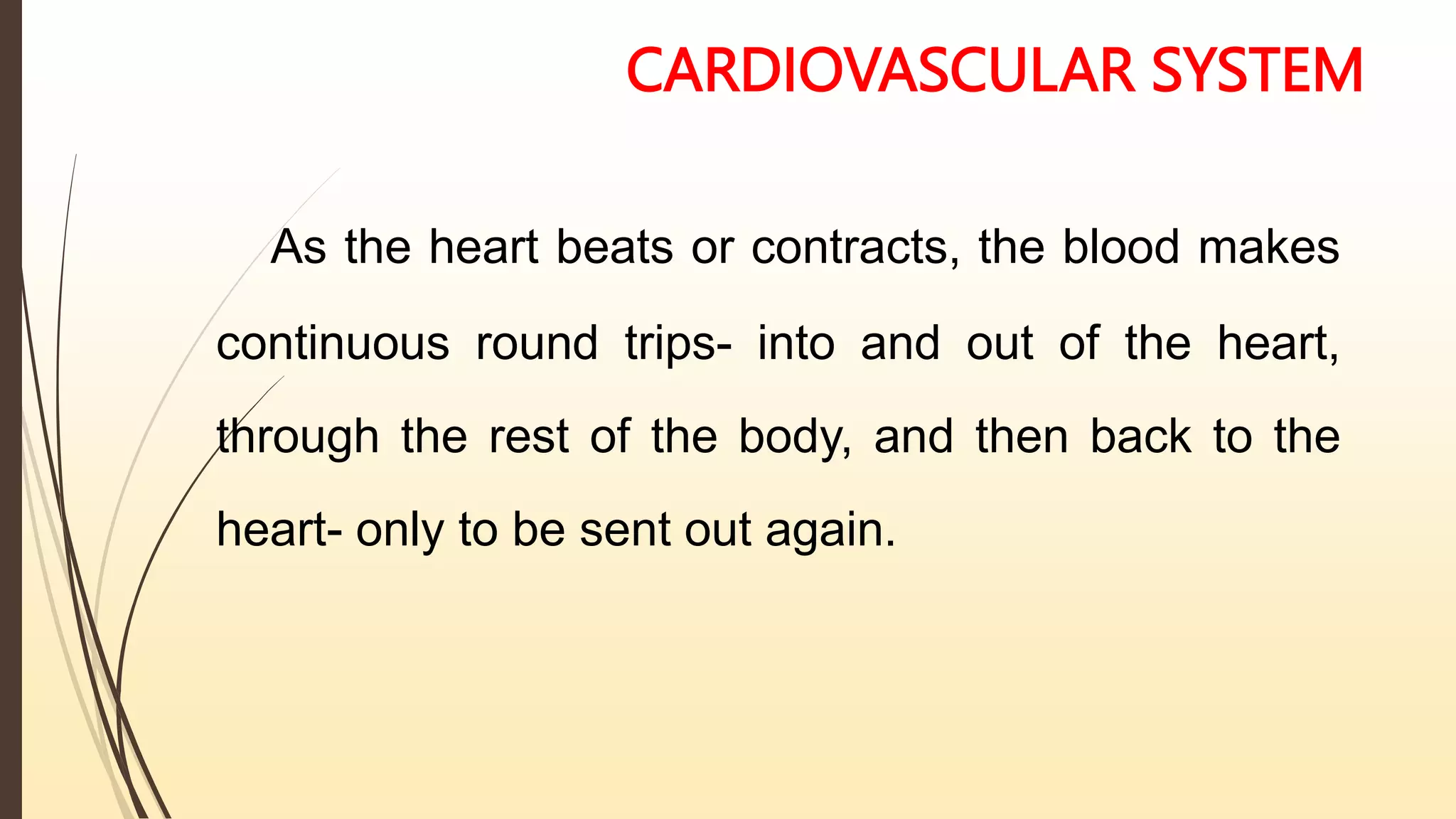 CARDIOVASCULAR SYSTEM
As the heart beats or contracts, the blood makes
continuous round trips- into and out of the heart,
through the rest of the body, and then back to the
heart- only to be sent out again.
 