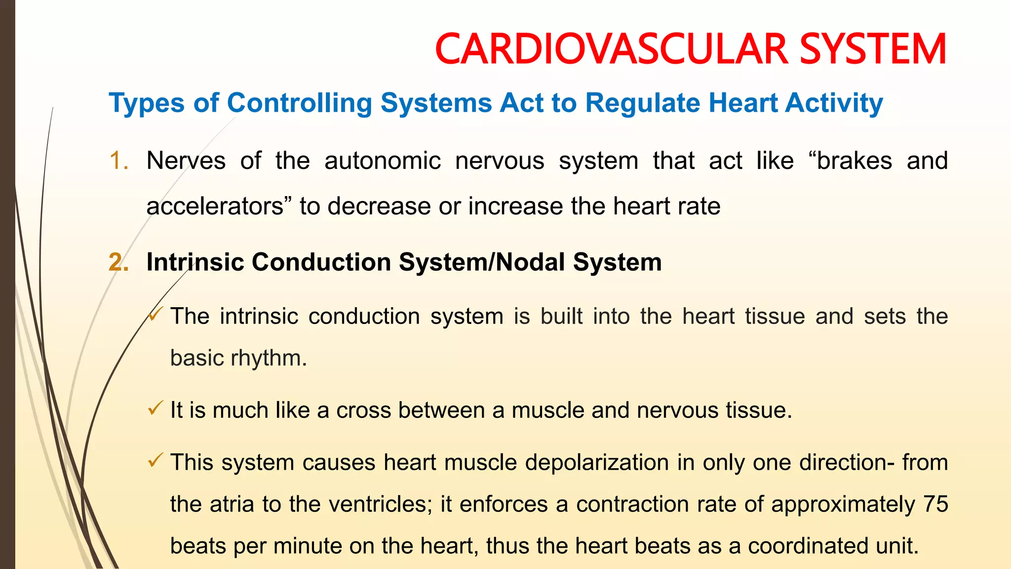 CARDIOVASCULAR SYSTEM
Types of Controlling Systems Act to Regulate Heart Activity
1. Nerves of the autonomic nervous system that act like “brakes and
accelerators” to decrease or increase the heart rate
2. Intrinsic Conduction System/Nodal System
 The intrinsic conduction system is built into the heart tissue and sets the
basic rhythm.
 It is much like a cross between a muscle and nervous tissue.
 This system causes heart muscle depolarization in only one direction- from
the atria to the ventricles; it enforces a contraction rate of approximately 75
beats per minute on the heart, thus the heart beats as a coordinated unit.
 