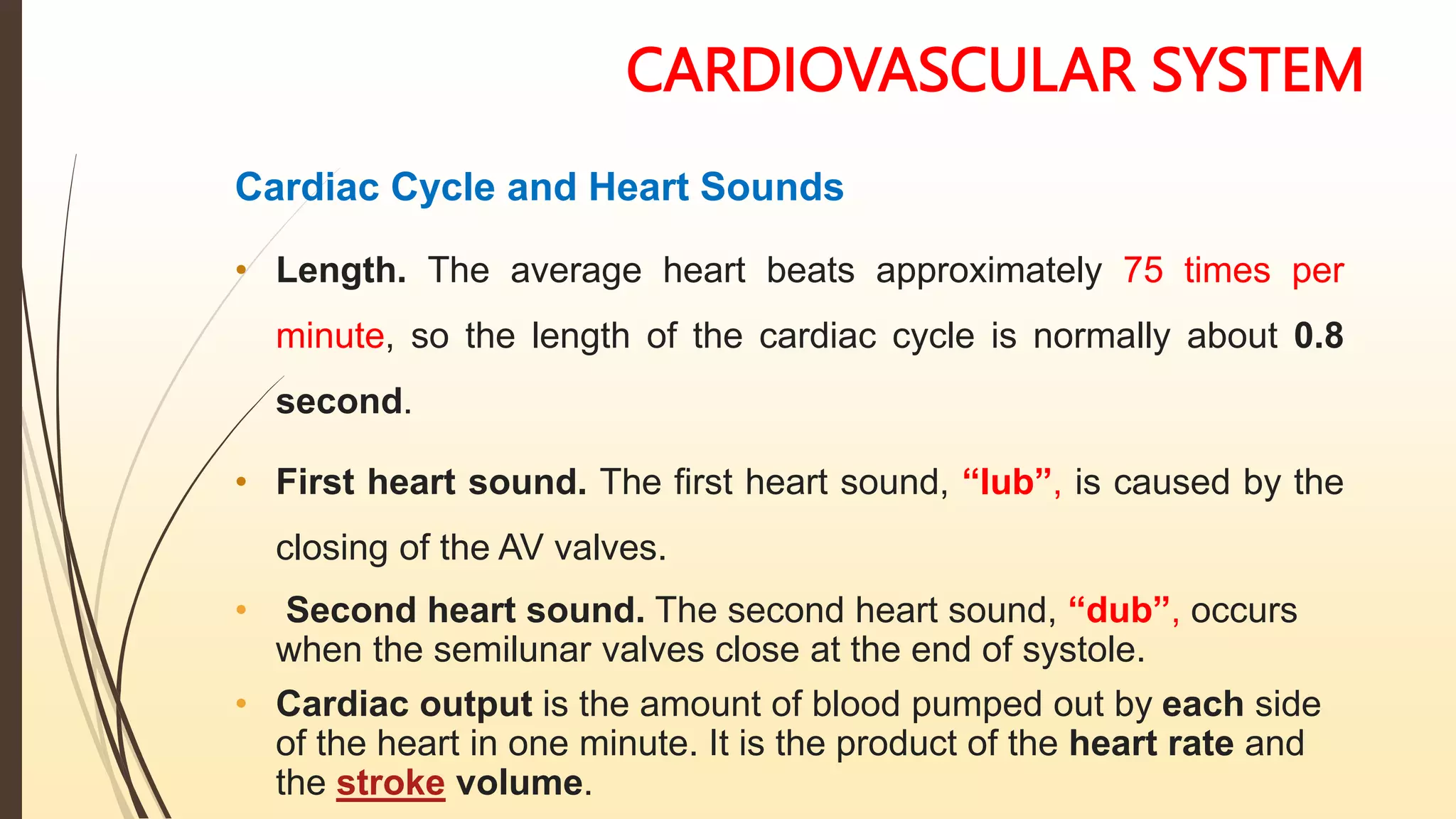 CARDIOVASCULAR SYSTEM
Cardiac Cycle and Heart Sounds
• Length. The average heart beats approximately 75 times per
minute, so the length of the cardiac cycle is normally about 0.8
second.
• First heart sound. The first heart sound, “lub”, is caused by the
closing of the AV valves.
• Second heart sound. The second heart sound, “dub”, occurs
when the semilunar valves close at the end of systole.
• Cardiac output is the amount of blood pumped out by each side
of the heart in one minute. It is the product of the heart rate and
the stroke volume.
 