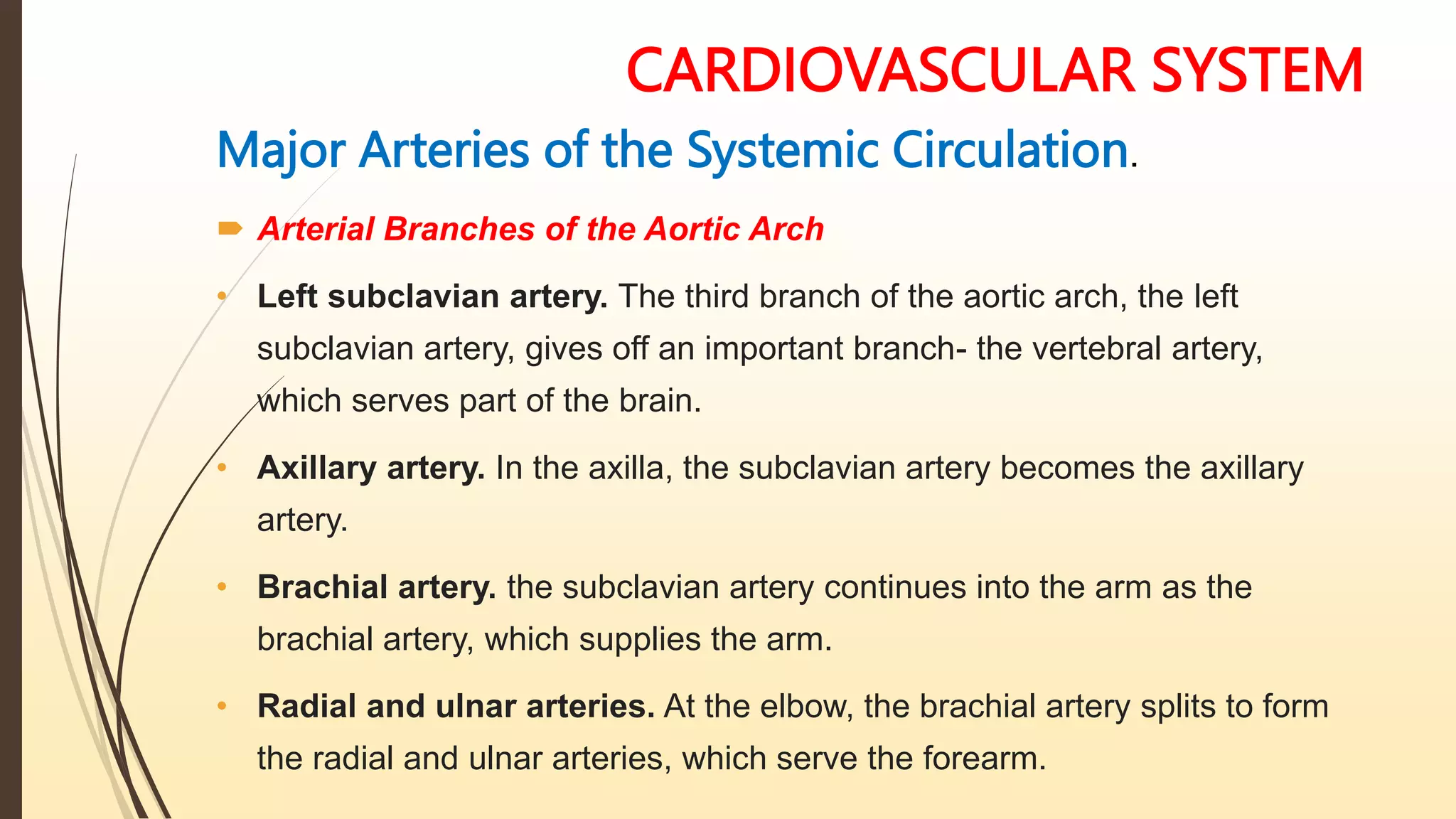 CARDIOVASCULAR SYSTEM
Major Arteries of the Systemic Circulation.
 Arterial Branches of the Aortic Arch
• Left subclavian artery. The third branch of the aortic arch, the left
subclavian artery, gives off an important branch- the vertebral artery,
which serves part of the brain.
• Axillary artery. In the axilla, the subclavian artery becomes the axillary
artery.
• Brachial artery. the subclavian artery continues into the arm as the
brachial artery, which supplies the arm.
• Radial and ulnar arteries. At the elbow, the brachial artery splits to form
the radial and ulnar arteries, which serve the forearm.
 
