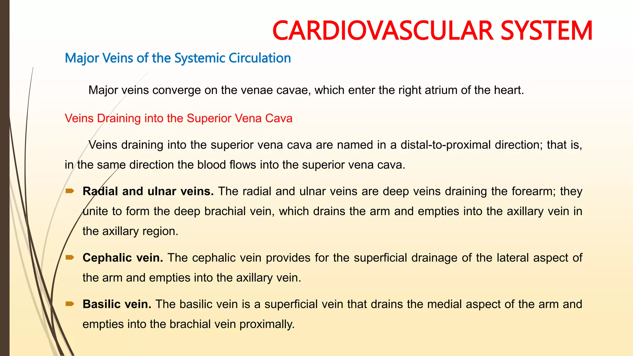 CARDIOVASCULAR SYSTEM
Major Veins of the Systemic Circulation
Major veins converge on the venae cavae, which enter the right atrium of the heart.
Veins Draining into the Superior Vena Cava
Veins draining into the superior vena cava are named in a distal-to-proximal direction; that is,
in the same direction the blood flows into the superior vena cava.
 Radial and ulnar veins. The radial and ulnar veins are deep veins draining the forearm; they
unite to form the deep brachial vein, which drains the arm and empties into the axillary vein in
the axillary region.
 Cephalic vein. The cephalic vein provides for the superficial drainage of the lateral aspect of
the arm and empties into the axillary vein.
 Basilic vein. The basilic vein is a superficial vein that drains the medial aspect of the arm and
empties into the brachial vein proximally.
 