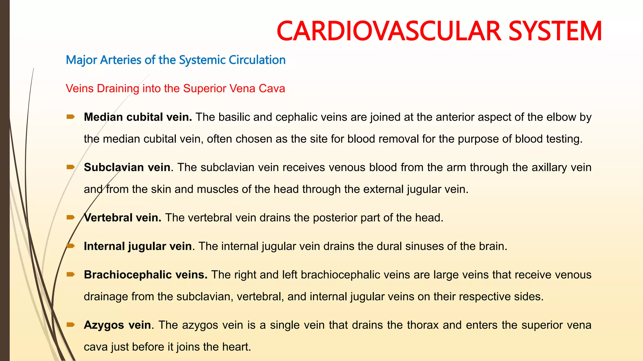 CARDIOVASCULAR SYSTEM
Major Arteries of the Systemic Circulation
Veins Draining into the Superior Vena Cava
 Median cubital vein. The basilic and cephalic veins are joined at the anterior aspect of the elbow by
the median cubital vein, often chosen as the site for blood removal for the purpose of blood testing.
 Subclavian vein. The subclavian vein receives venous blood from the arm through the axillary vein
and from the skin and muscles of the head through the external jugular vein.
 Vertebral vein. The vertebral vein drains the posterior part of the head.
 Internal jugular vein. The internal jugular vein drains the dural sinuses of the brain.
 Brachiocephalic veins. The right and left brachiocephalic veins are large veins that receive venous
drainage from the subclavian, vertebral, and internal jugular veins on their respective sides.
 Azygos vein. The azygos vein is a single vein that drains the thorax and enters the superior vena
cava just before it joins the heart.
 