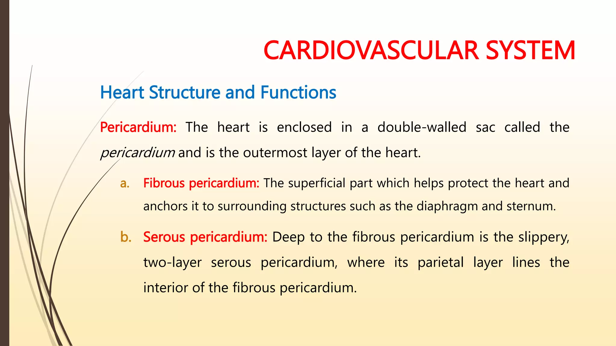 CARDIOVASCULAR SYSTEM
Heart Structure and Functions
Pericardium: The heart is enclosed in a double-walled sac called the
pericardium and is the outermost layer of the heart.
a. Fibrous pericardium: The superficial part which helps protect the heart and
anchors it to surrounding structures such as the diaphragm and sternum.
b. Serous pericardium: Deep to the fibrous pericardium is the slippery,
two-layer serous pericardium, where its parietal layer lines the
interior of the fibrous pericardium.
 