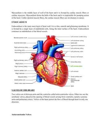 Heart Involuntary CARDIOVASCULAR SYSTEM | PDF