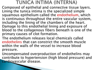 CARDIOVASCULAR SYSTEM.pptx