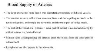 Blood Supply of Arteries
• The large arteries (of more than 1 mm diameter) are supplied with blood vessels.
• The nutrient vessels, called vasa vasorum, form a dense capillary network in the
tunica adventitia, and supply the adventitia and the outer part of tunica media.
• The rest of the vessel wall (intima + inner part of media) is nourished directly by
diffusion from the luminal blood.
• Minute veins accompanying the arteries drain the blood from the outer part of
arterial wall.
• Lymphatics are also present in the adventitia.
 