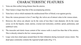 CHARACTERISTIC FEATURES
1. Veins are thin-walled, being thinner than the arteries.
2. Their lumen is larger than that of the accompanying arteries.
3. Veins have valves which maintain the unidirectional flow of blood, even against gravity.
4. Since the venous pressure is low (7 mm Hg), the valves are of utmost value in the venous return.
5. However, the valves are absent: (a) In the veins of less than 2 mm diameter. (b) In the venae
cavae. (c) In the hepatic, renal, uterine, ovarian (not testicular), cerebral, spinal, pulmonary, and
umbilical veins.
6. The muscular and elastic tissue content of the venous walls is much less than that of the arteries.
This is directly related to the low venous pressure.
7. Large veins have dead space around them for their dilatation during increased venous return. The
dead space commonly contains the regional lymph nodes (Fig. 5.7).
 