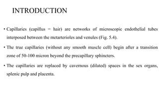 INTRODUCTION
• Capillaries (capillus = hair) are networks of microscopic endothelial tubes
interposed between the metarterioles and venules (Fig. 5.4).
• The true capillaries (without any smooth muscle cell) begin after a transition
zone of 50-100 micron beyond the precapillary sphincters.
• The capillaries are replaced by cavernous (dilated) spaces in the sex organs,
splenic pulp and placenta.
 
