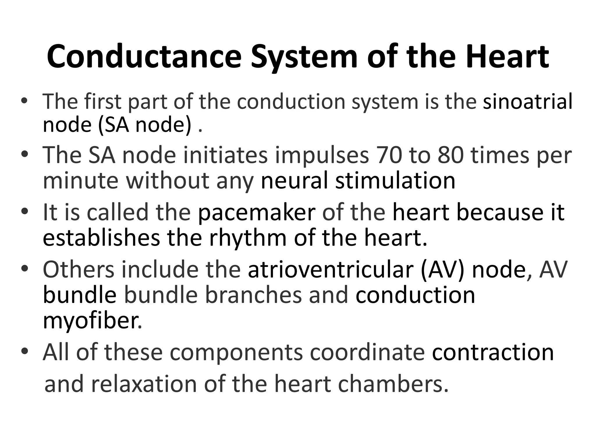 CARDIOVASCULAR SYSTEM.pptx