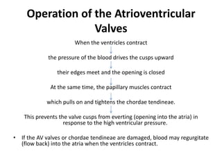 Valve Operation Cardiovascular System.pdf