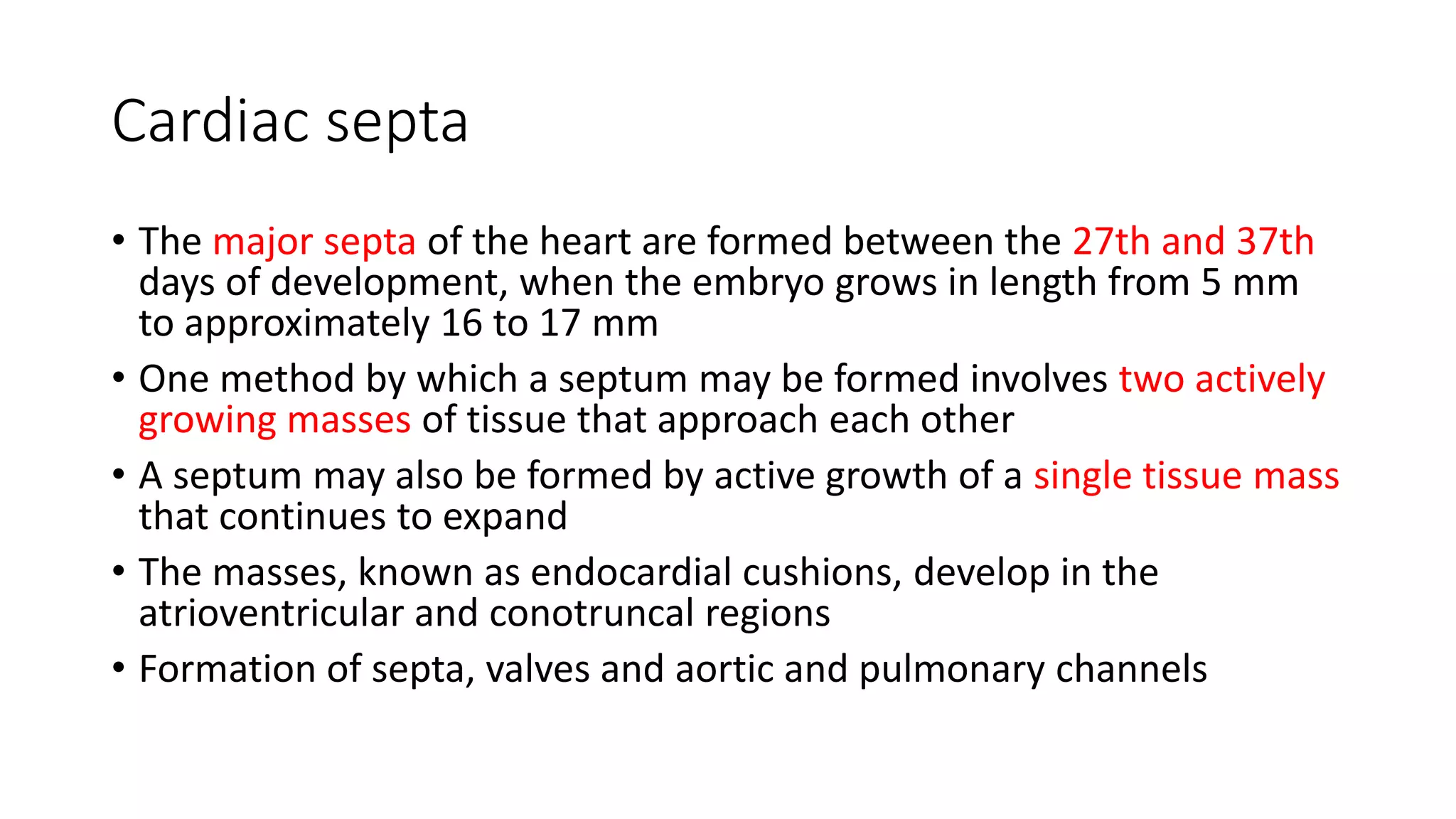 Cardiovascular System.pptx