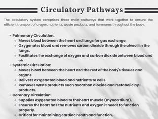 Circulatory Pathways
• Pulmonary Circulation:
⚬ Moves blood between the heart and lungs for gas exchange.
⚬ Oxygenates blood and removes carbon dioxide through the alveoli in the
lungs.
⚬ Facilitates the exchange of oxygen and carbon dioxide between blood and
air.
• Systemic Circulation:
⚬ Moves blood between the heart and the rest of the body's tissues and
organs.
⚬ Delivers oxygenated blood and nutrients to cells.
⚬ Removes waste products such as carbon dioxide and metabolic by-
products.
• Coronary Circulation:
⚬ Supplies oxygenated blood to the heart muscle (myocardium).
⚬ Ensures the heart has the nutrients and oxygen it needs to function
properly.
⚬ Critical for maintaining cardiac health and function.
The circulatory system comprises three main pathways that work together to ensure the
efficient transport of oxygen, nutrients, waste products, and hormones throughout the body.
 