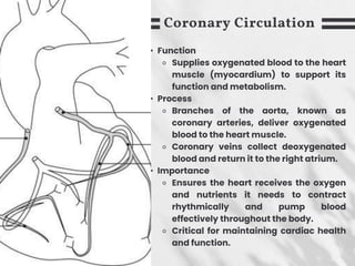 Coronary Circulation
• Function
⚬ Supplies oxygenated blood to the heart
muscle (myocardium) to support its
function and metabolism.
• Process
⚬ Branches of the aorta, known as
coronary arteries, deliver oxygenated
blood to the heart muscle.
⚬ Coronary veins collect deoxygenated
blood and return it to the right atrium.
• Importance
⚬ Ensures the heart receives the oxygen
and nutrients it needs to contract
rhythmically and pump blood
effectively throughout the body.
⚬ Critical for maintaining cardiac health
and function.
 