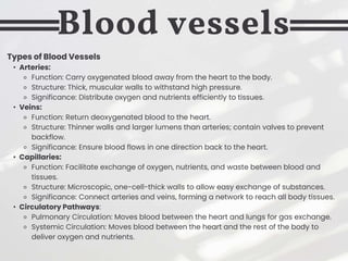 Types of Blood Vessels
• Arteries:
⚬ Function: Carry oxygenated blood away from the heart to the body.
⚬ Structure: Thick, muscular walls to withstand high pressure.
⚬ Significance: Distribute oxygen and nutrients efficiently to tissues.
• Veins:
⚬ Function: Return deoxygenated blood to the heart.
⚬ Structure: Thinner walls and larger lumens than arteries; contain valves to prevent
backflow.
⚬ Significance: Ensure blood flows in one direction back to the heart.
• Capillaries:
⚬ Function: Facilitate exchange of oxygen, nutrients, and waste between blood and
tissues.
⚬ Structure: Microscopic, one-cell-thick walls to allow easy exchange of substances.
⚬ Significance: Connect arteries and veins, forming a network to reach all body tissues.
• Circulatory Pathways:
⚬ Pulmonary Circulation: Moves blood between the heart and lungs for gas exchange.
⚬ Systemic Circulation: Moves blood between the heart and the rest of the body to
deliver oxygen and nutrients.
Blood vessels
 