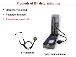 Cardio vascular system. For BSc nursing students | PPTX