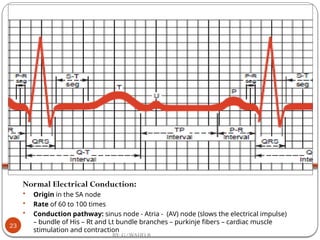 Normal Electrical Pathways Nursing care for child with disorderof Cardio Vascular System.pptx