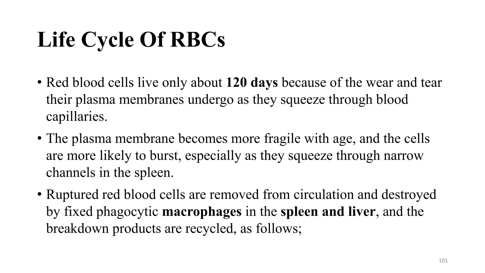 Life Cycle Of RBCs
• Red blood cells live only about 120 days because of the wear and tear
their plasma membranes undergo as they squeeze through blood
capillaries.
• The plasma membrane becomes more fragile with age, and the cells
are more likely to burst, especially as they squeeze through narrow
channels in the spleen.
• Ruptured red blood cells are removed from circulation and destroyed
by fixed phagocytic macrophages in the spleen and liver, and the
breakdown products are recycled, as follows;
101
 