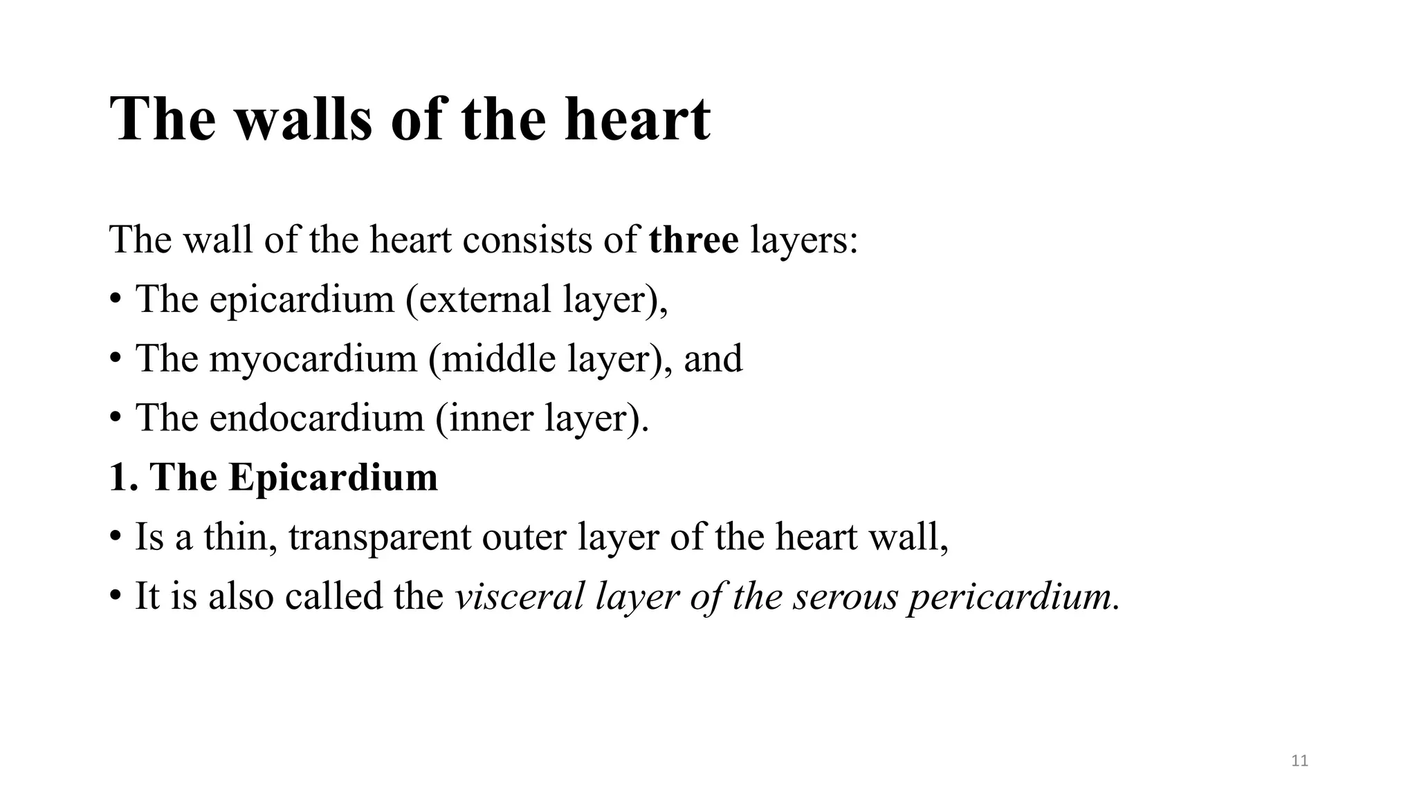 The walls of the heart
The wall of the heart consists of three layers:
• The epicardium (external layer),
• The myocardium (middle layer), and
• The endocardium (inner layer).
1. The Epicardium
• Is a thin, transparent outer layer of the heart wall,
• It is also called the visceral layer of the serous pericardium.
11
 