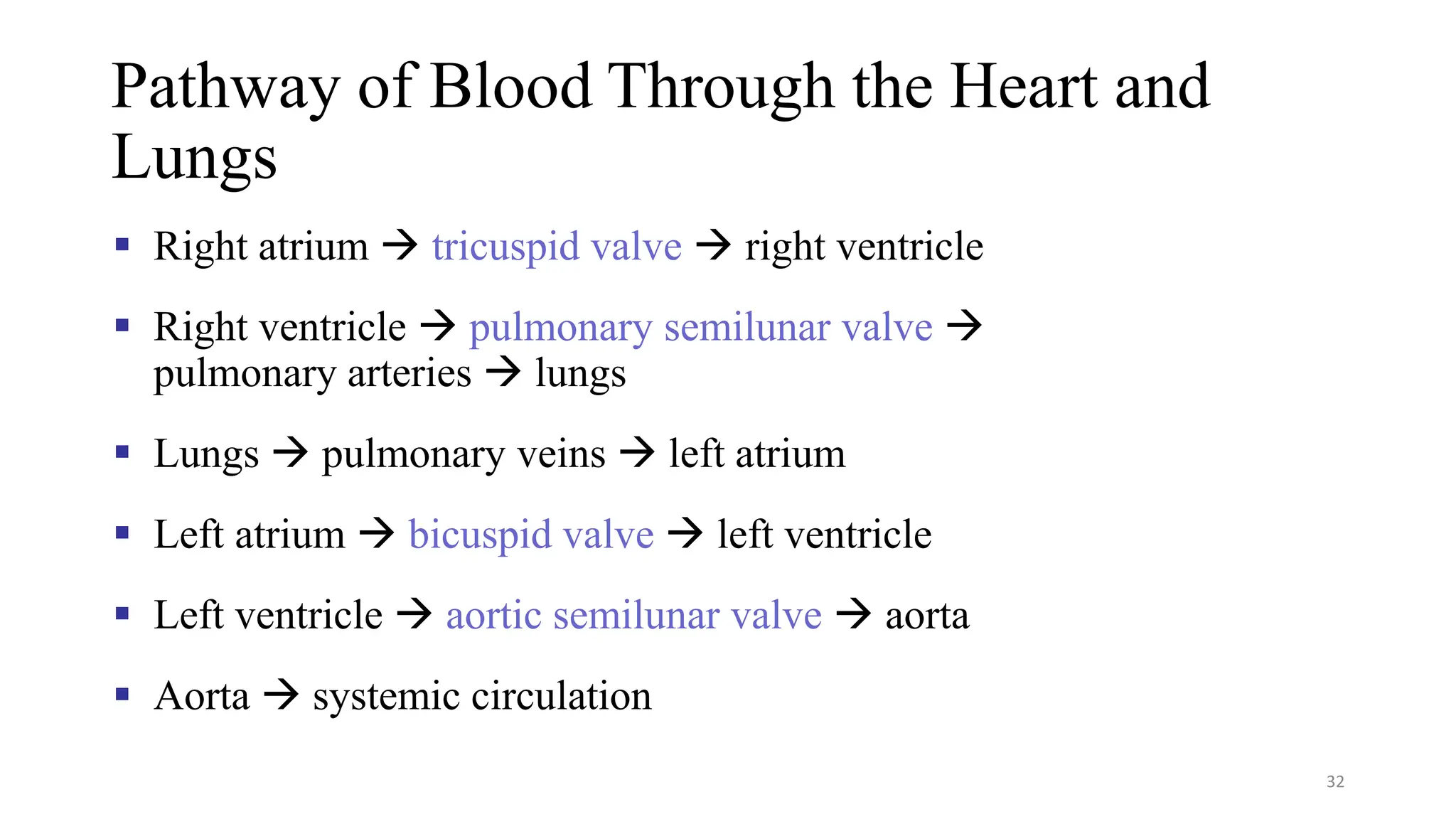 Pathway of Blood Through the Heart and
Lungs
▪ Right atrium → tricuspid valve → right ventricle
▪ Right ventricle → pulmonary semilunar valve →
pulmonary arteries → lungs
▪ Lungs → pulmonary veins → left atrium
▪ Left atrium → bicuspid valve → left ventricle
▪ Left ventricle → aortic semilunar valve → aorta
▪ Aorta → systemic circulation
32
 
