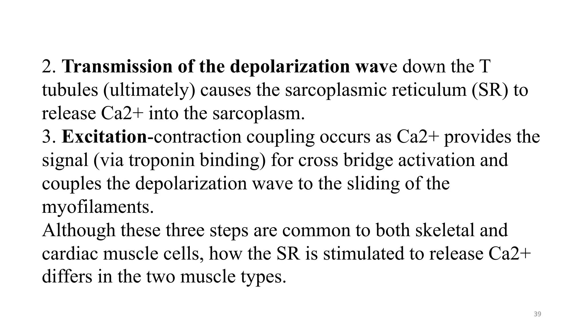 39
2. Transmission of the depolarization wave down the T
tubules (ultimately) causes the sarcoplasmic reticulum (SR) to
release Ca2+ into the sarcoplasm.
3. Excitation-contraction coupling occurs as Ca2+ provides the
signal (via troponin binding) for cross bridge activation and
couples the depolarization wave to the sliding of the
myofilaments.
Although these three steps are common to both skeletal and
cardiac muscle cells, how the SR is stimulated to release Ca2+
differs in the two muscle types.
 