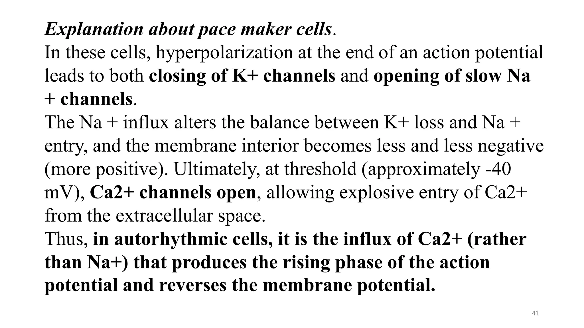 41
Explanation about pace maker cells.
In these cells, hyperpolarization at the end of an action potential
leads to both closing of K+ channels and opening of slow Na
+ channels.
The Na + influx alters the balance between K+ loss and Na +
entry, and the membrane interior becomes less and less negative
(more positive). Ultimately, at threshold (approximately -40
mV), Ca2+ channels open, allowing explosive entry of Ca2+
from the extracellular space.
Thus, in autorhythmic cells, it is the influx of Ca2+ (rather
than Na+) that produces the rising phase of the action
potential and reverses the membrane potential.
 