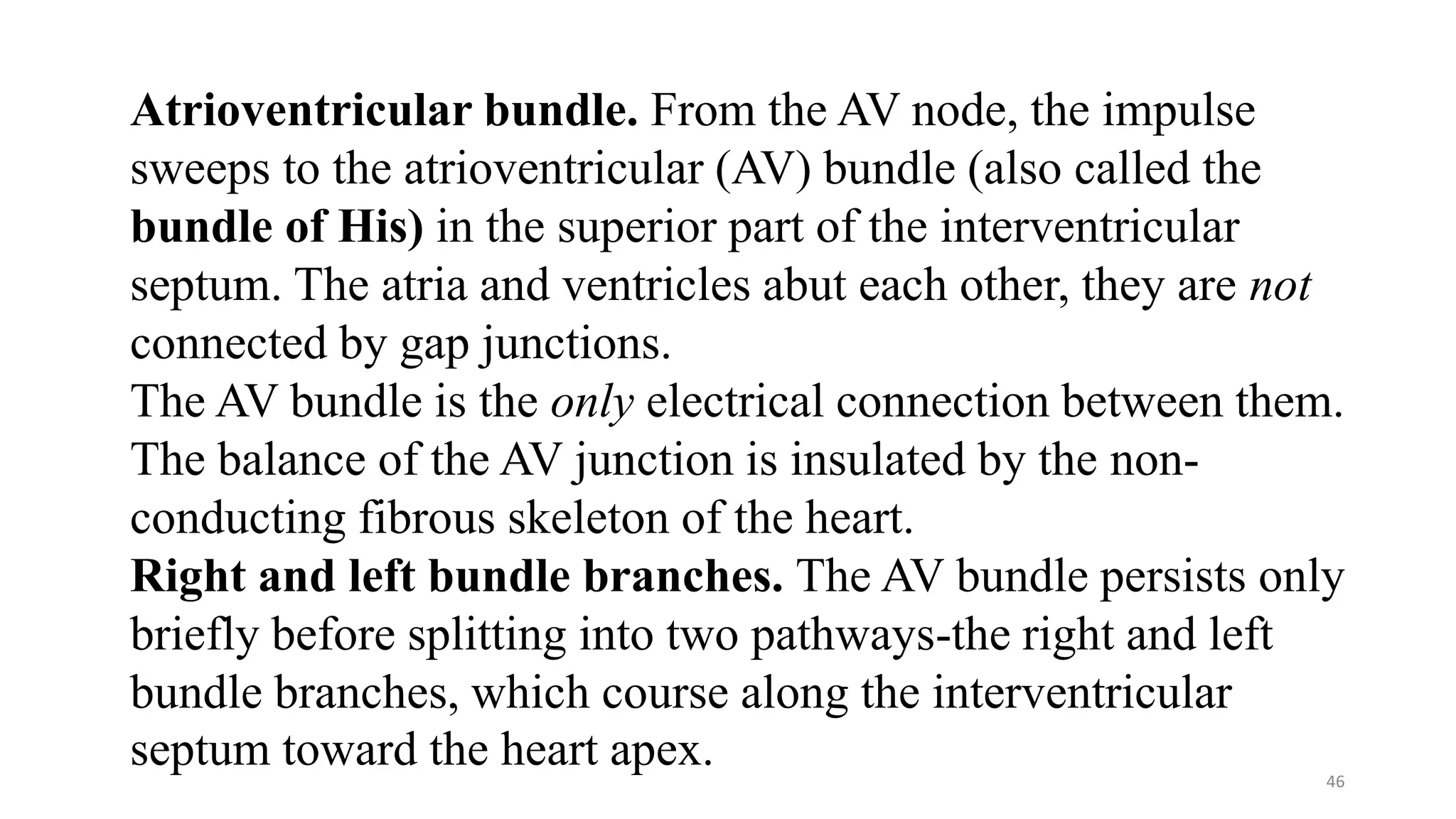 46
Atrioventricular bundle. From the AV node, the impulse
sweeps to the atrioventricular (AV) bundle (also called the
bundle of His) in the superior part of the interventricular
septum. The atria and ventricles abut each other, they are not
connected by gap junctions.
The AV bundle is the only electrical connection between them.
The balance of the AV junction is insulated by the non-
conducting fibrous skeleton of the heart.
Right and left bundle branches. The AV bundle persists only
briefly before splitting into two pathways-the right and left
bundle branches, which course along the interventricular
septum toward the heart apex.
 