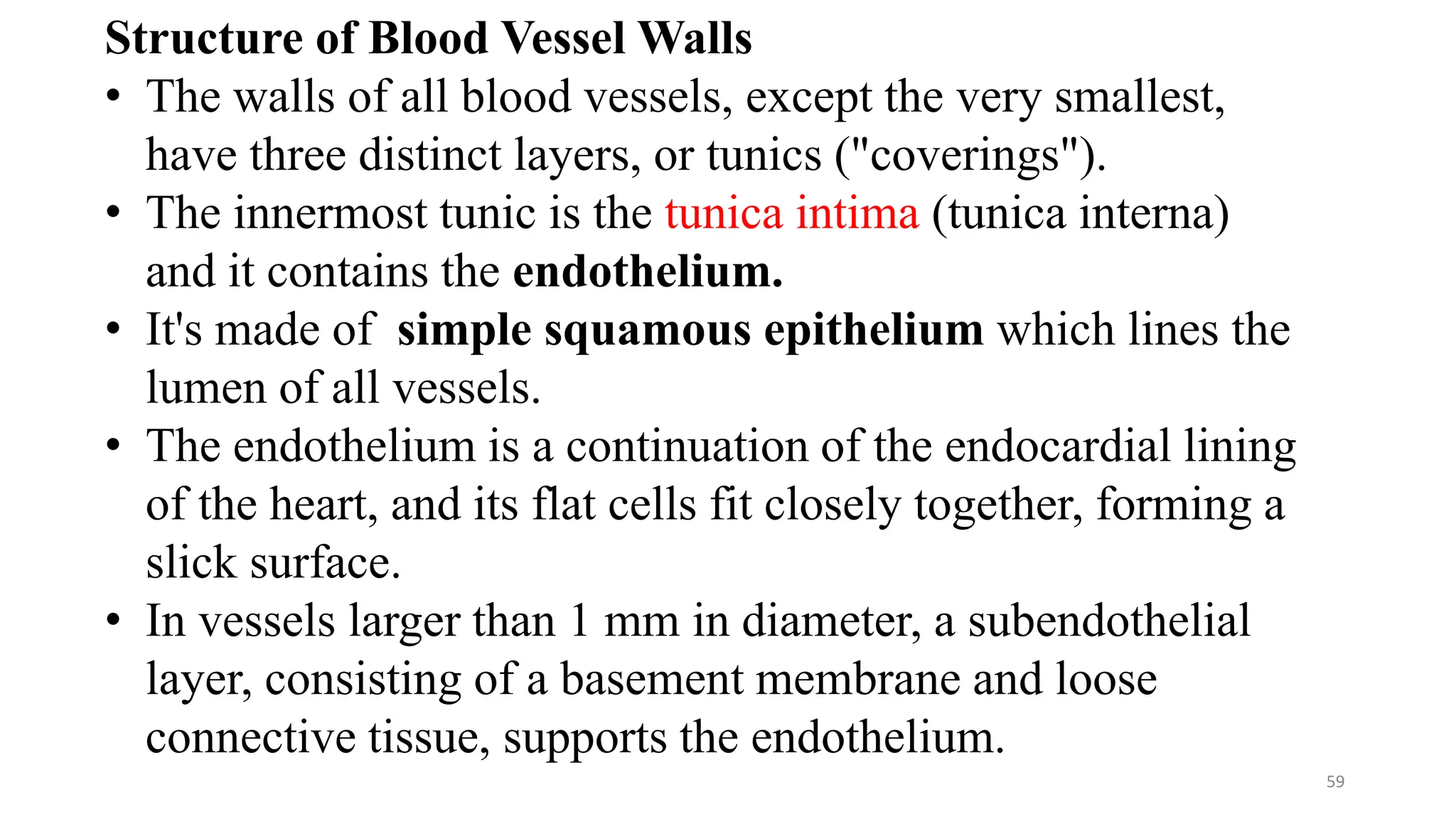 Structure of Blood Vessel Walls
• The walls of all blood vessels, except the very smallest,
have three distinct layers, or tunics ("coverings").
• The innermost tunic is the tunica intima (tunica interna)
and it contains the endothelium.
• It's made of simple squamous epithelium which lines the
lumen of all vessels.
• The endothelium is a continuation of the endocardial lining
of the heart, and its flat cells fit closely together, forming a
slick surface.
• In vessels larger than 1 mm in diameter, a subendothelial
layer, consisting of a basement membrane and loose
connective tissue, supports the endothelium.
59
 