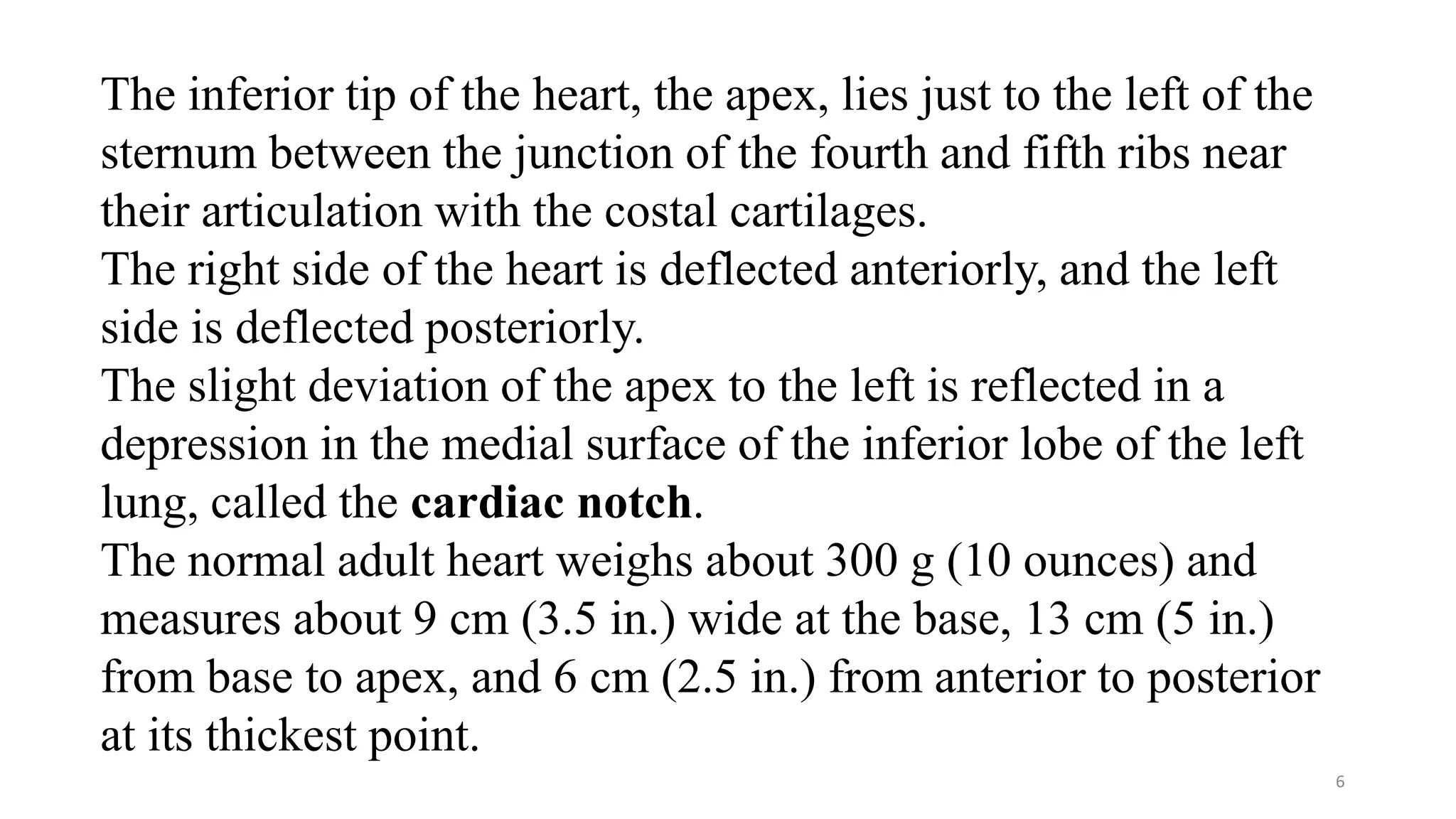 6
The inferior tip of the heart, the apex, lies just to the left of the
sternum between the junction of the fourth and fifth ribs near
their articulation with the costal cartilages.
The right side of the heart is deflected anteriorly, and the left
side is deflected posteriorly.
The slight deviation of the apex to the left is reflected in a
depression in the medial surface of the inferior lobe of the left
lung, called the cardiac notch.
The normal adult heart weighs about 300 g (10 ounces) and
measures about 9 cm (3.5 in.) wide at the base, 13 cm (5 in.)
from base to apex, and 6 cm (2.5 in.) from anterior to posterior
at its thickest point.
 
