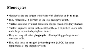 Monocytes
• Monocytes are the largest leukocytes with diameter of 14 to 18 μ.
• They represent 2–8 percent of the total leukocyte count.
• Nucleus is round, oval and horseshoe shaped (bean or kidney shaped).
• Nucleus is placed either in the center of the cell or pushed to one side
and a large amount of cytoplasm is seen.
• They are very effective phagocytic cells engulfing pathogens and
worn-out cells.
• They also serve as antigen presenting cells (APCs) for other
components of the immune system.
120
 