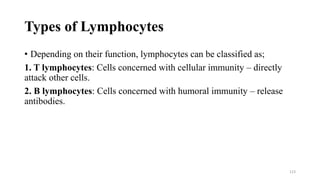 Types of Lymphocytes
• Depending on their function, lymphocytes can be classified as;
1. T lymphocytes: Cells concerned with cellular immunity – directly
attack other cells.
2. B lymphocytes: Cells concerned with humoral immunity – release
antibodies.
123
 